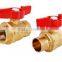 BRASS VALVE