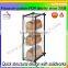 Acrylic Material cupcake bakery display for showcase
