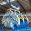 jumping castles inflatable water slide,inflatable vagina slide