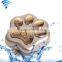 RF-V32 new products worlds smallest waterproof gps pet collars tracker for cat