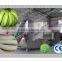 Green Banana peeling machine/banana peeler/banana chips machine/green banana slicing machine/plantain peeler