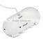 Generic Wireless Classic Controller For Wii/Wii U