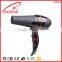 Secador Hairdryer Small Appliances Wholesale Hairdressing Salon ac motor Hair Dryer More than 2000 W china wenzhou