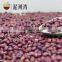 2015 hig quality new crop red cowpea beans for sale