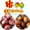 Organic snack ready to eat chestnuts, Inshelled Chestnuts snacks food