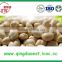 Split tasty good healthy nut snacks blanched peanut in two types shape with lowest price