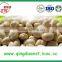 wholesale high quality shandong blanched peanut
