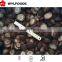 machines for Frozen IQF shiitake mushroom China brands