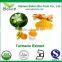 Natural Curcuma Longa 98% Curcumin