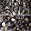 dried shiitake mushroom