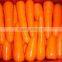 Golden Supplier China Wholesale Carrot with low price
