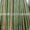 60cm- 700cm Length of Bamboo