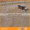 Trade Assurance square tube corral panels/galvanized horse fencing