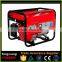 High Performance Micro Electric LPG Power Generator