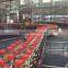 width adjustable international food grade curve conveyor system