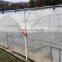 Professional design polyethylelene film multi span agricultural greenhouse