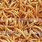 Cat Food 2.5--2.8 cm Freeze Dried Mealworms;Yongzheng Dried Mealworms For Cat