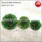 Preserved plants ball