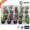 2016 plant nursery fabric garden pots