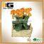 Indoor Nature Rattan Boat Shaped Planter