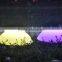 Popular beautiful rechargeable half round shape led ball