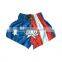 Best Quality Boxing Shorts / Satin Boxing Shorts / Kickboxing Shorts