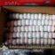 Chinese Fresh 5.5cm Normal White Garlic Small Packing In 10kg Box