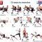 AS SEEN ON TV Eco Friendly 12 IN 1 AB BODYROBUST GYM EQUIPMENT