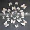 3D White Butterfly Stickers Card Making Stickers Wall Stickers 3D Crafts Butterflie SD102                        
                                                Quality Choice