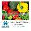 roll up banner media, Digital media suppliers, banner material roll up printing media, Naisi Digital