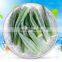 Fresh and good-taste  top quality IQF Frozen  Okra Whole