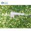 Sinocharm Top Green Onion Cut 5mm IQF Green Onion Frozen Foods For Dumpling Stuffing With BRC Quality
