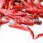 Hot Selling IQF Jinta Chili Frozen Red Hot Pepper