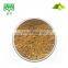 Factory supply natural hops and lupulin extract powder