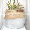 Handwoven Seagrass Belly Basket, Large White Bottom Seagrass Basket with leather handler