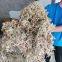 Oem Custom  Dried Natural Preserved Dry Sphagnumn Moss Muschio Mos Musgo Mousse