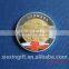 2015 Newest Die Casting Gold Silver Plated 3D Custom Fake Gold Coins