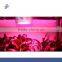 Blue/Red LED Light for Plant Grow Indoor Grow Lamps