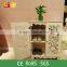 Beautiful Large Living Room Stylish 3 Tiers Wooden Shoe Cabinet With Doors