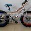 china supplier fat bike snow bike with new model fat bike tire (PW-FT20007)