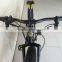 Rear Drive fat tire electric bike front fork with high performance
