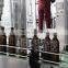 Automatic Glass Bottle Juice Hot Bottling Apparatus