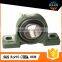 Prevalent Pillow Block Bearing P205 P206 P207 In USA Market