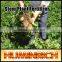 Huminrich Powder State And Slow Release Type Pure Humic Acid For Potato                        
                                                Quality Choice