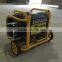 BISON(CHINA) Gasoline Gas Power Generator