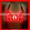 Remote Control LED Luminous Lingerie, Programmable LED Light Bra