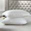wholesale fashionable munufactured white color cheap goose down pillow