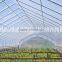 plastic PE greenhouse covering film, PE protection greenhouse plastic film made in China