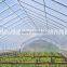 professional pe plastic woven greenhouse film in agricultural products for sale