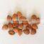 Chinese Bitter Bulk Apricot Kernels with Good Quality